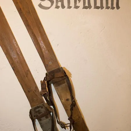 Apartmán Schneeberger Zell am Ziller