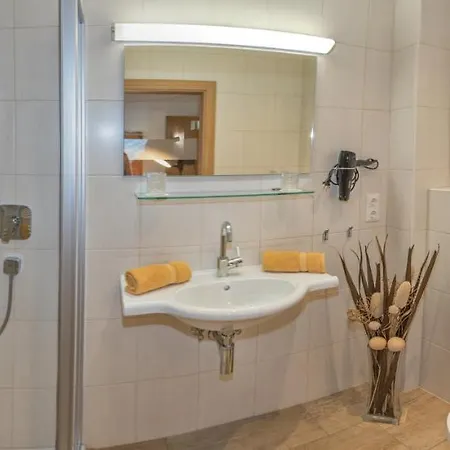 Lejlighed Appartement Schneeberger Zell am Ziller