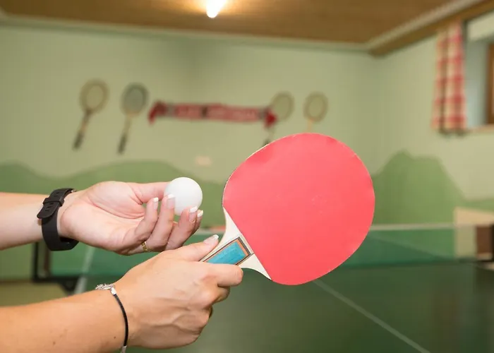 Schneeberger Apartamento *