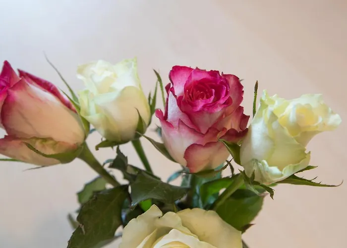 Schneeberger * Zell am Ziller