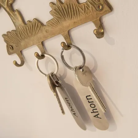 Schneeberger Διαμέρισμα